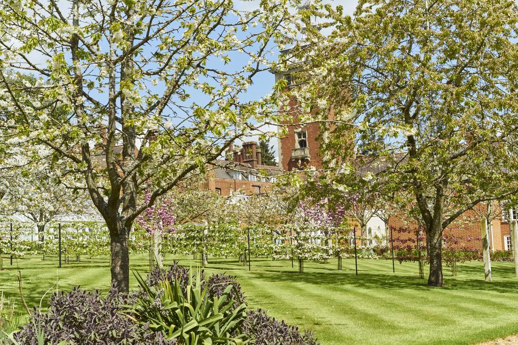 Tylney Hall Hotel Hook  Esterno foto